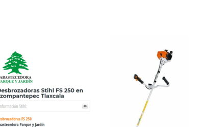 Desbrozadoras Stihl FS 250 en Tzompantepec Tlaxcala