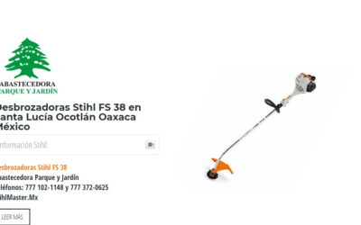 Desbrozadoras Stihl FS 38 en Santa Lucía Ocotlán Oaxaca México