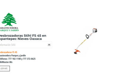 Desbrozadoras Stihl FS 45 en Ixpantepec Nieves Oaxaca