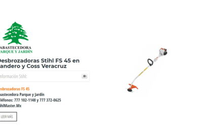 Desbrozadoras Stihl FS 45 en Landero y Coss Veracruz