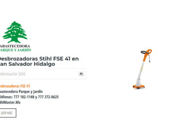 Desbrozadoras Stihl FSE 41 en San Salvador Hidalgo