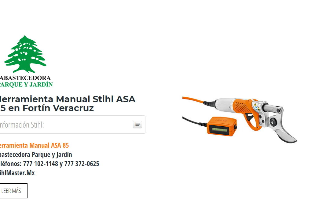 Herramienta Manual Stihl ASA 85 en Fortín Veracruz