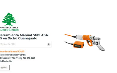 Herramienta Manual Stihl ASA 85 en Xichú Guanajuato