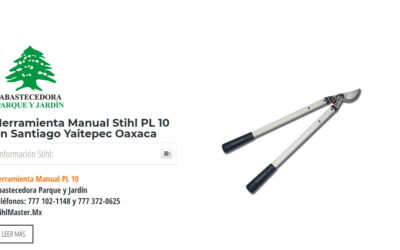 Herramienta Manual Stihl PL 10 en Santiago Yaitepec Oaxaca