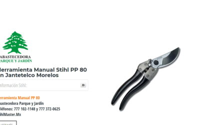 Herramienta Manual Stihl PP 80 en Jantetelco Morelos