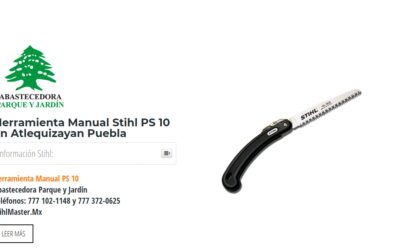 Herramienta Manual Stihl PS 10 en Atlequizayan Puebla