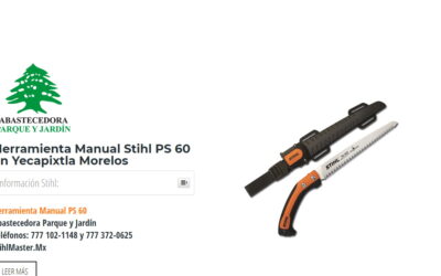 Herramienta Manual Stihl PS 60 en Yecapixtla Morelos
