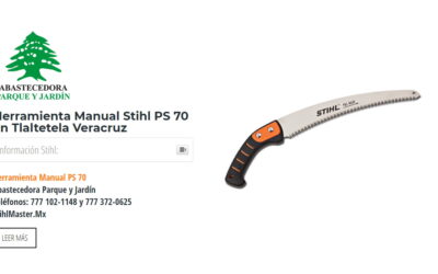 Herramienta Manual Stihl PS 70 en Tlaltetela Veracruz