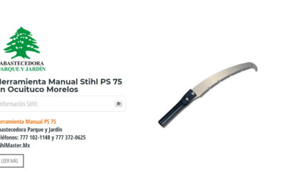 Herramienta Manual Stihl PS 75 en Ocuituco Morelos
