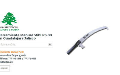 Herramienta Manual Stihl PS 80 en Guadalajara Jalisco