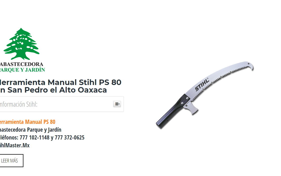 Herramienta Manual Stihl PS 80 en San Pedro el Alto Oaxaca