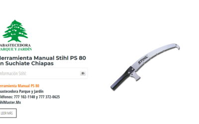 Herramienta Manual Stihl PS 80 en Suchiate Chiapas