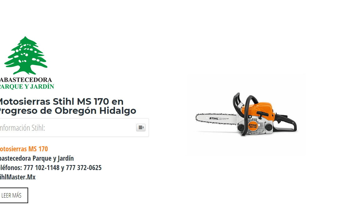 Motosierras Stihl MS 170 en Progreso de Obregón Hidalgo