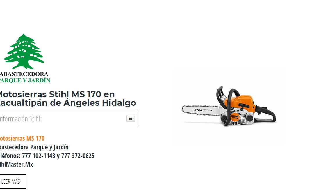 Motosierras Stihl MS 170 en Zacualtipán de Ángeles Hidalgo