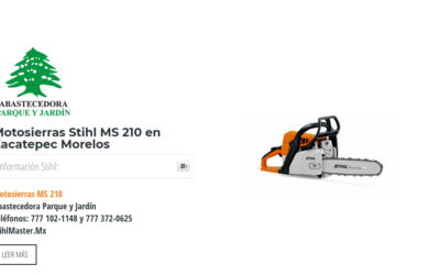 Motosierras Stihl MS 210 en Zacatepec Morelos