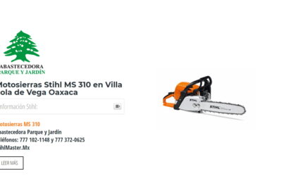 Motosierras Stihl MS 310 en Villa Sola de Vega Oaxaca