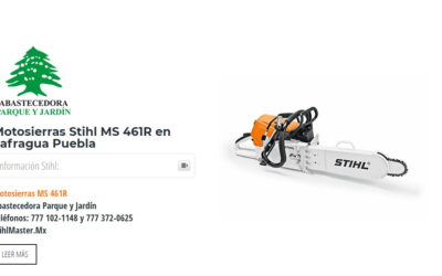 Motosierras Stihl MS 461R en Lafragua Puebla