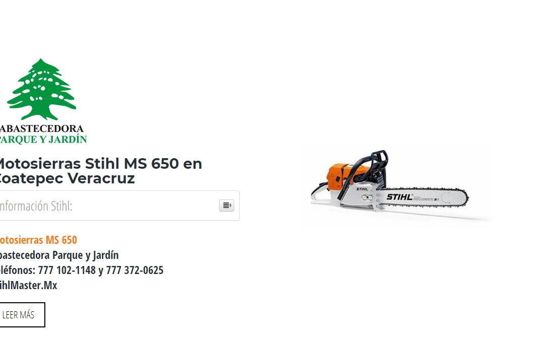 Motosierras Stihl MS 650 en Coatepec Veracruz