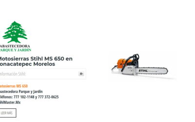 Motosierras Stihl MS 650 en Jonacatepec Morelos