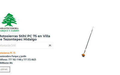 Motosierras Stihl PC 75 en Villa de Tezontepec Hidalgo