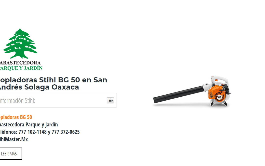 Sopladoras Stihl BG 50 en San Andrés Solaga Oaxaca