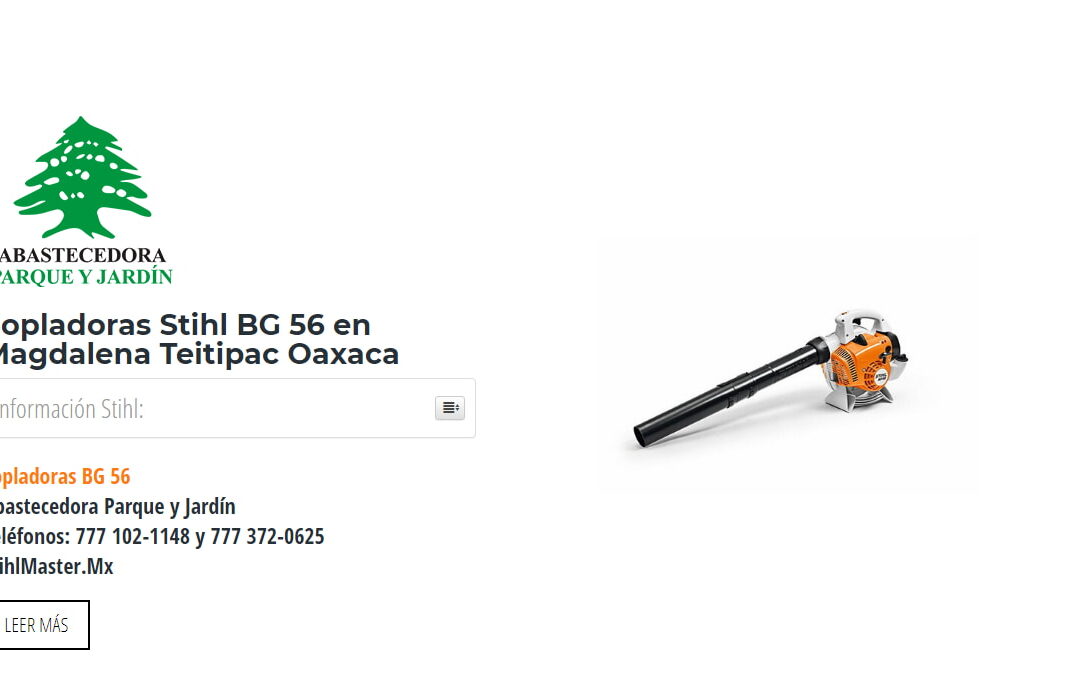 Sopladoras Stihl BG 56 en Magdalena Teitipac Oaxaca