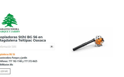Sopladoras Stihl BG 56 en Magdalena Teitipac Oaxaca