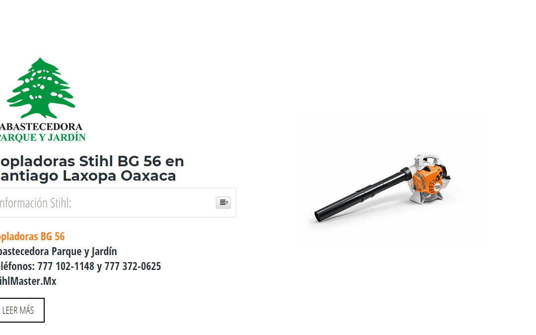 Sopladoras Stihl BG 56 en Santiago Laxopa Oaxaca