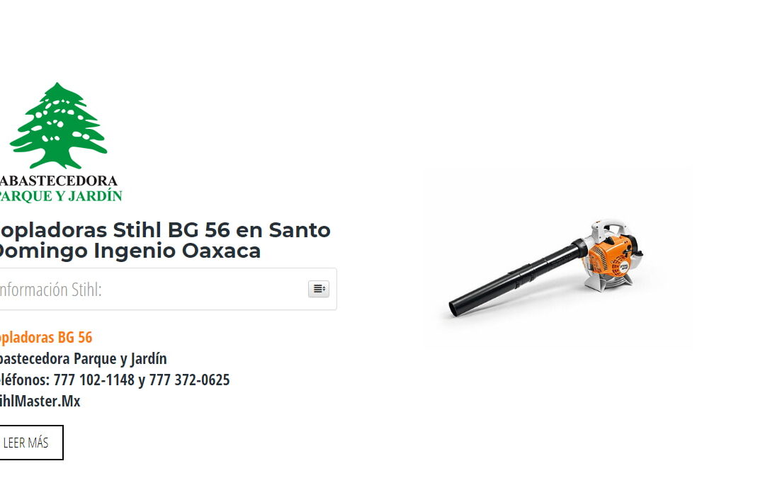Sopladoras Stihl BG 56 en Santo Domingo Ingenio Oaxaca