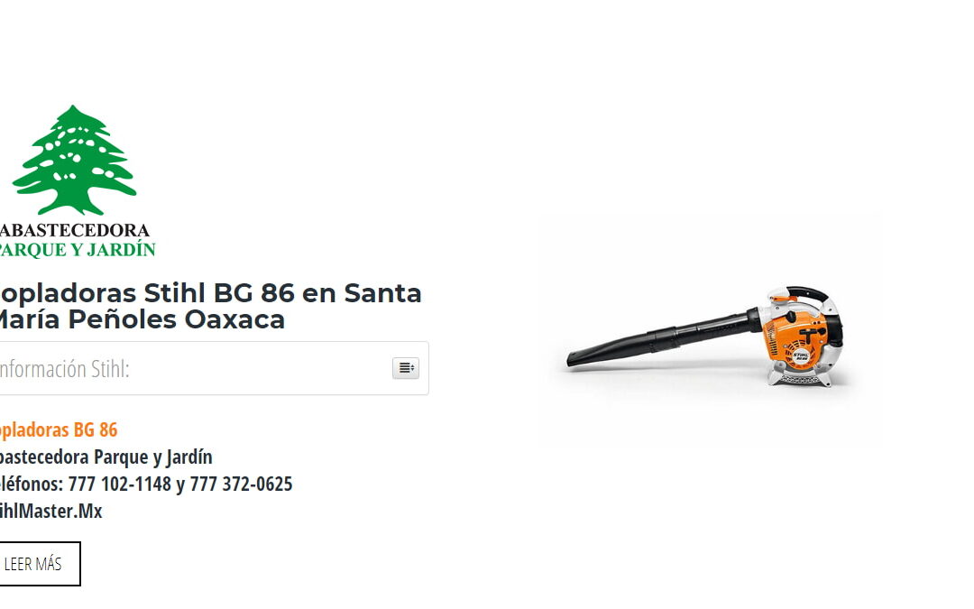 Sopladoras Stihl BG 86 en Santa María Peñoles Oaxaca