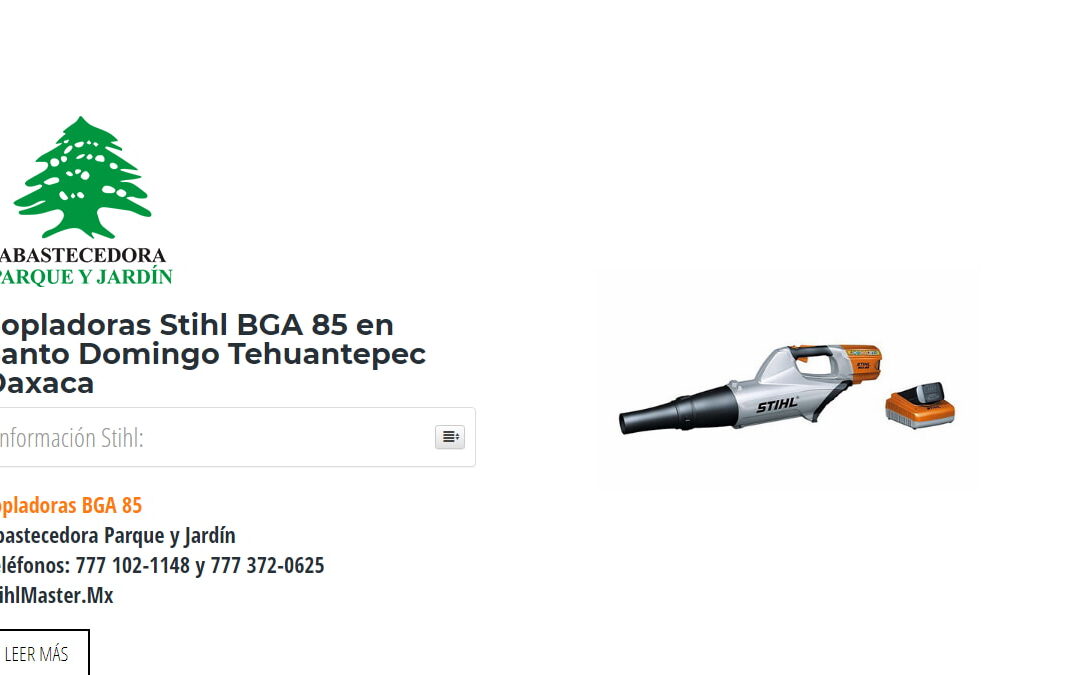 Sopladoras Stihl BGA 85 en Santo Domingo Tehuantepec Oaxaca
