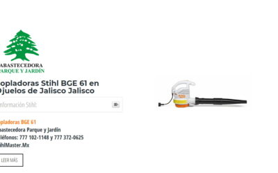 Sopladoras Stihl BGE 61 en Ojuelos de Jalisco Jalisco