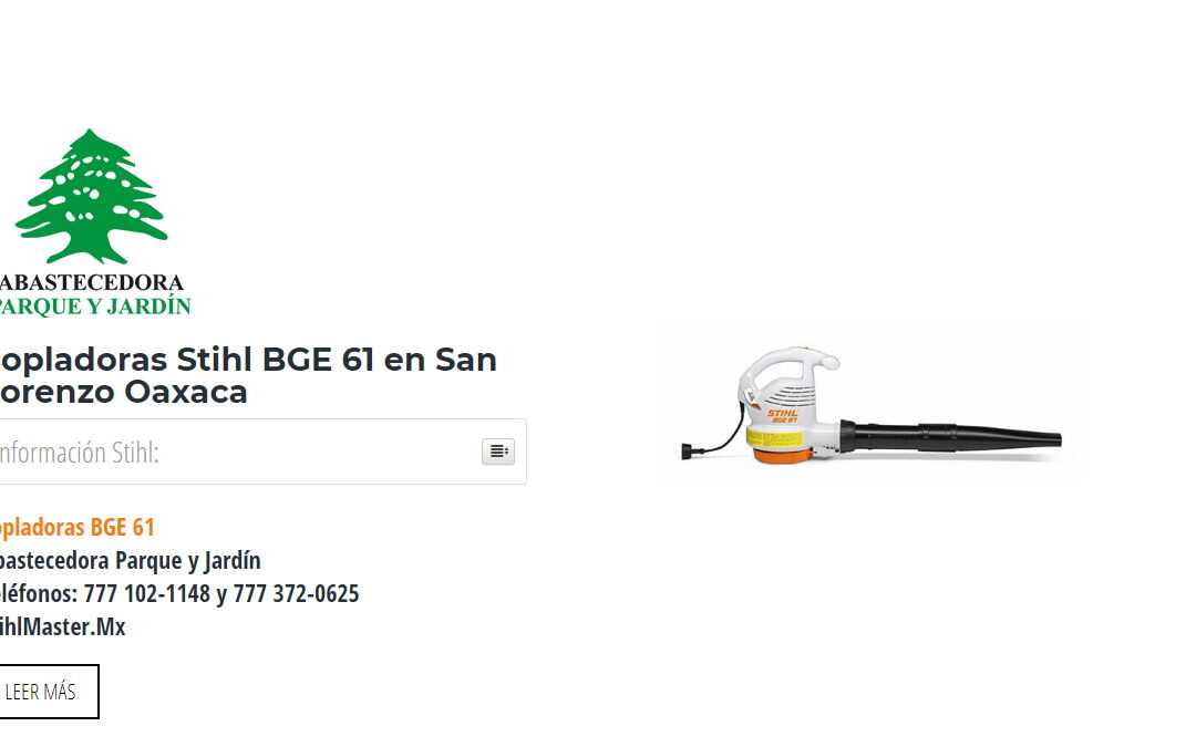 Sopladoras Stihl BGE 61 en San Lorenzo Oaxaca