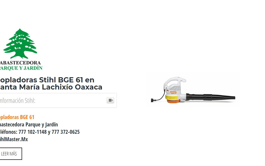 Sopladoras Stihl BGE 61 en Santa María Lachixío Oaxaca