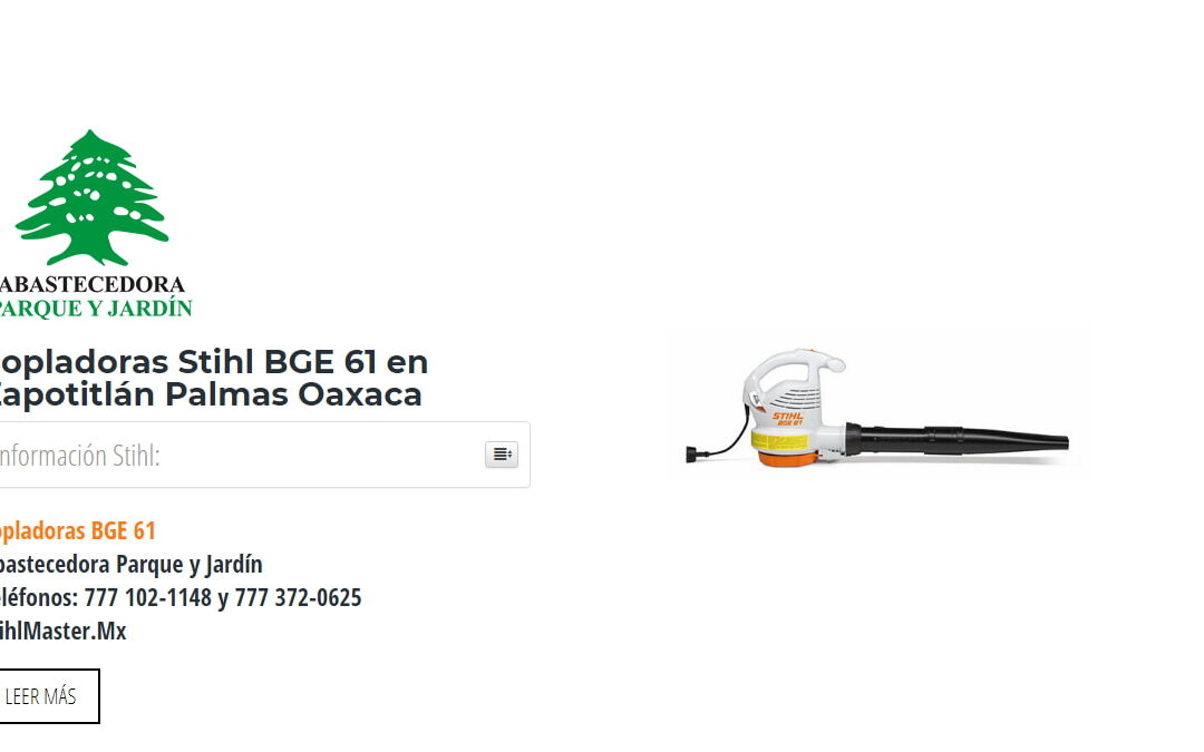 Sopladoras Stihl BGE 61 en Zapotitlán Palmas Oaxaca