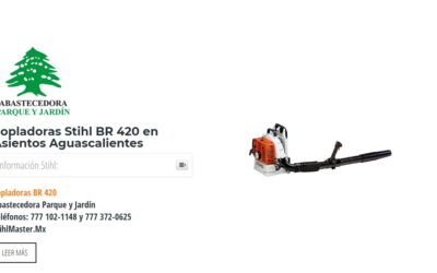 Sopladoras Stihl BR 420 en Asientos Aguascalientes