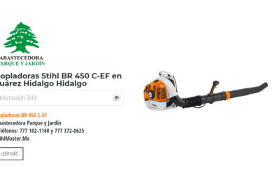 Sopladoras Stihl BR 450 C-EF en Juárez Hidalgo Hidalgo