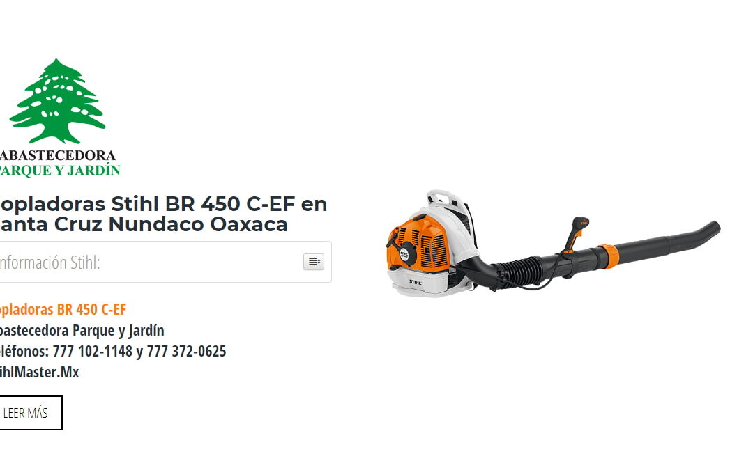 Sopladoras Stihl BR 450 C-EF en Santa Cruz Nundaco Oaxaca