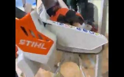 STIHL GTA 26 şarjlı mini el testeresi