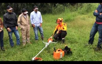 Encendido correcto de un equipo STIHL