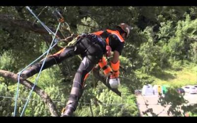 STIHL MS 201 TC M