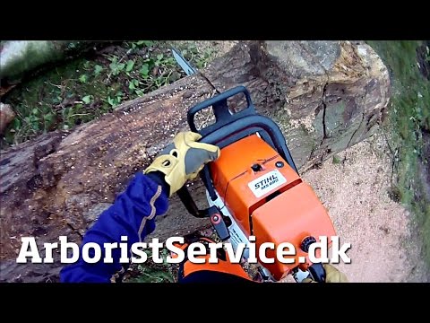 Stihl MS 880 with .404″ chain on 30″ bar in 25″ log