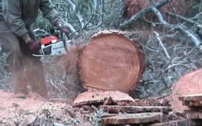 Stihl 041 G