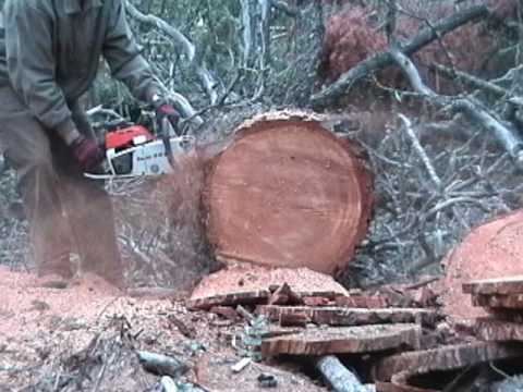 Stihl 041 G