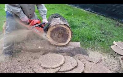 Husqvarna 359 before and after, vs ported stihl 044