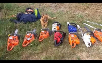Stihl ms 500i vs g444