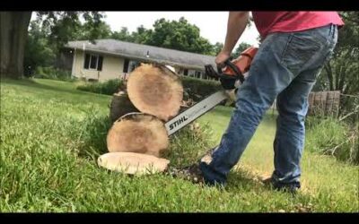 SCARR ported Stihl 066