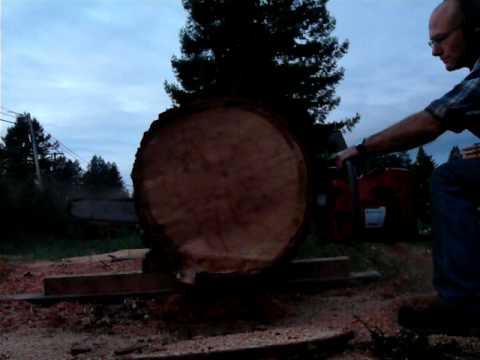 288XP Husvarna vs. ms 660 Stihl vs. 394 XP Husqvarna