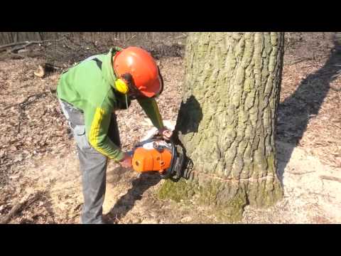 Stihl MS661 fadöntés