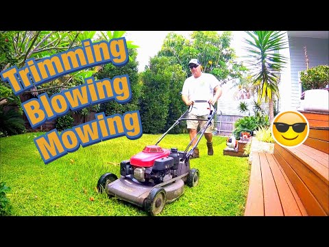 Honda Lawn Mowing Stihl Trimming and Blowing Pittwater Mowing